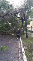 Militares cortan árbol caído con machete