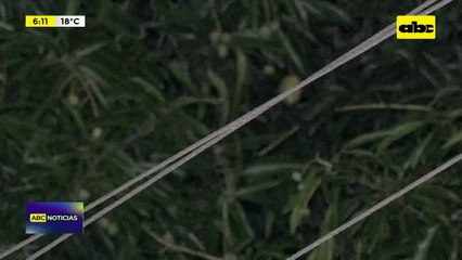 Loma Pytã: vecinos denuncian falta de respuesta tras corte de energía eléctrica y cables sueltos