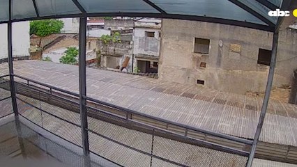 Así roban en edificios abandonados en el microcentro