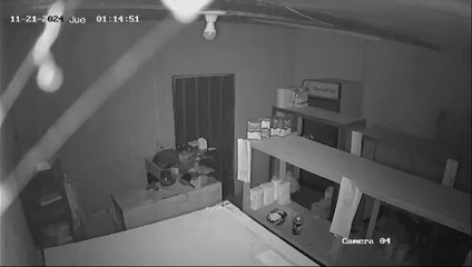 Dos jóvenes aprehendidos tras vaciar una despensa: uno ya tenía orden de captura