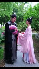 When a Fairy Enter Enters a Book