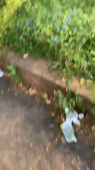 Vertedero Clandestino En Villa Morra