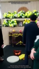 Justice for My Sister Chinese Drama - English Sub