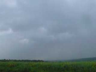 j'ai rencontré Forest Gump c'est foudroyant