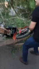 un árbol cayó sobre un motociclista