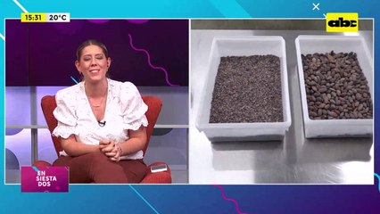 Fábrica de chocolates premium: elaborados con los más exquisitos granos de cacao