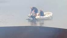 Boating trip turns comical as couple gets caught in the mud during low tide