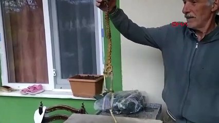 Ahırda buldu, paniğe kapılıp yetkililere haber verdi: ''İlk kez böyle bir şey gördüm''