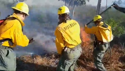 Bomberos combaten incendio al costado del peaje de la ruta Luque San Bernardino