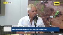 Desafíos del sector ganadero paraguayo: caída del rebaño y la necesidad de mercados “más valiosos”
