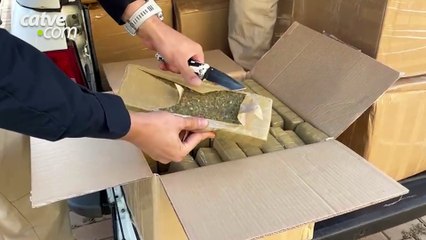 Casal é preso com mais 770kg de maconha pela PRF em Céu Azul