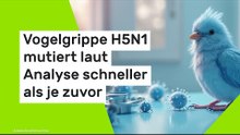 Vogelgrippe H5N1 mutiert laut Analyse schneller als je zuvor