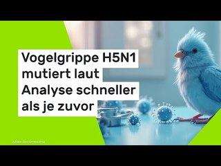 Vogelgrippe H5N1 mutiert laut Analyse schneller als je zuvor