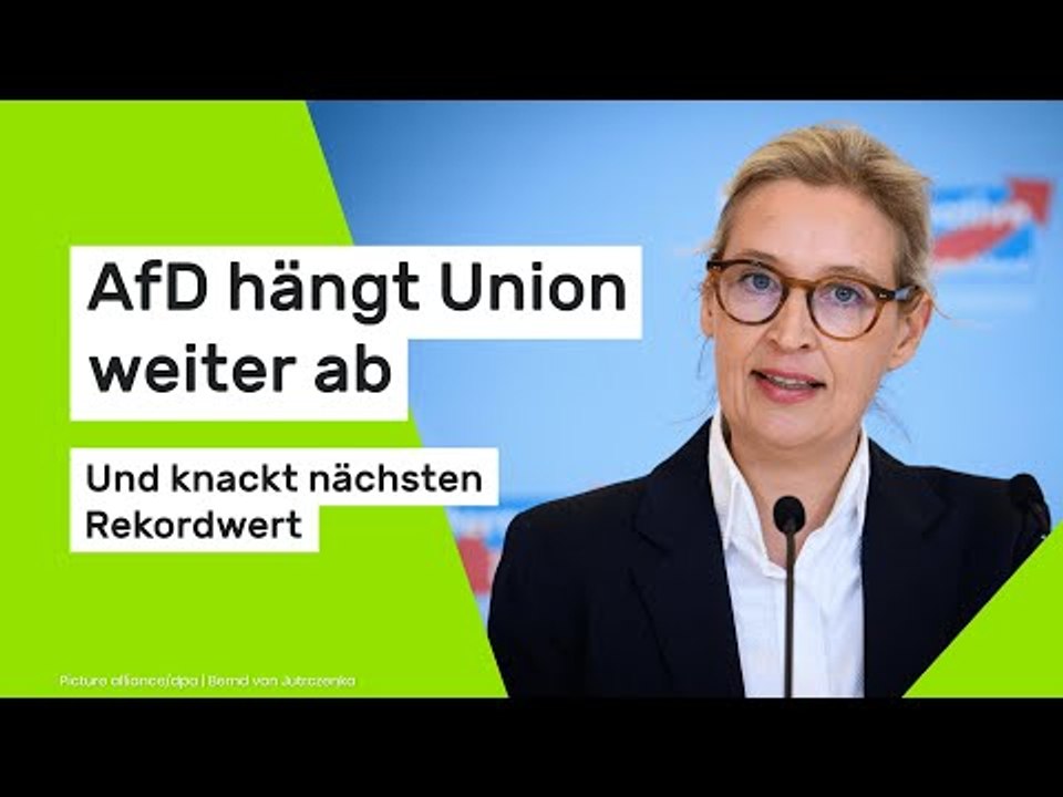 AfD hängt Union weiter ab - und knackt nächsten Rekordwert