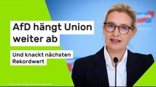 AfD hängt Union weiter ab - und knackt nächsten Rekordwert