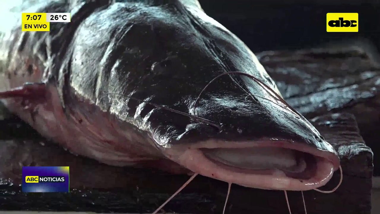 Sube Precio Del Pescado