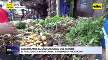 Día Nacional Del Tereré