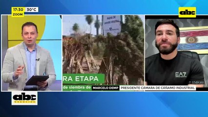 Cannabis industrial: productos paraguayos llegan a 30 destinos internacionales