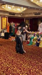 Hot Arabic Dance 🔥 رقص عربي ساخن – Viral Show