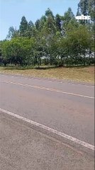 Pobladores constataron que no iniciaron obras de traslado de peaje en General Delgado