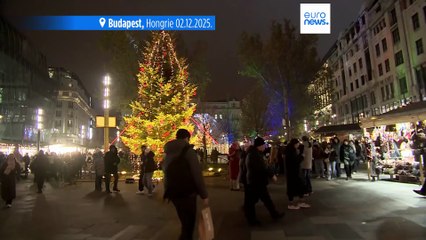 Hongrie : au marché de Noël de Budapest, la police veille face aux pickpockets