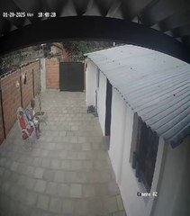 Pelota de una canchita casi impacta contra una mujer en una vivienda en Luque