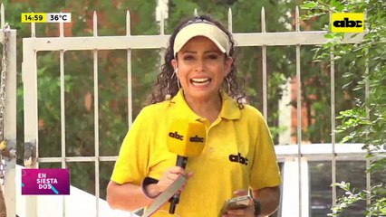 Paseadog: El servicio de paseo para mascotas