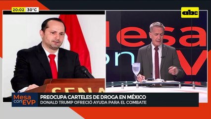 Trump declara “terroristas” a cárteles mexicanos: ¿qué opina el ministro de la Senad?