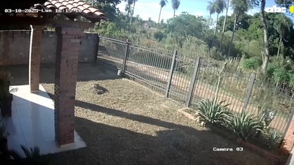 Las últimas imágenes que se tienen de la niña desaparecida en Itauguá