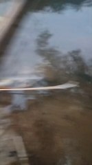 Denuncian mortandad de peces en Paso Yobái