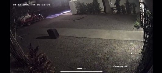 Recuperan instrumentos odontológicos hurtados