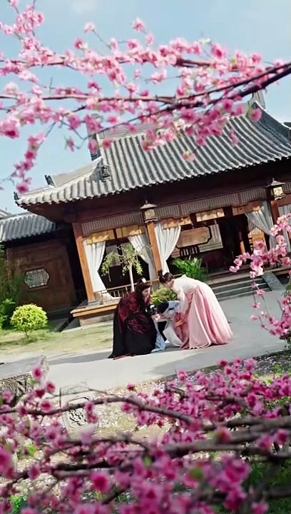 (Eng Sub) Peach blossoms trapped in the east wind