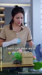 Paws Speak Louder Than Words - Full Movie