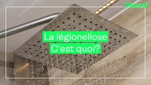 Santé/ la légionellose