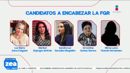 El Senado aprueba lista de 10 aspirantes a dirigir la FGR