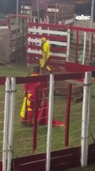 Indignación Por Presunto Maltrato Animal En Evento A Beneficio De Bomberos De Hohenau