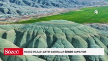 Havuç hasadı artık dakikalar içinde yapılıyor