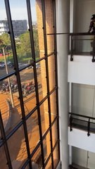 Rescataron a un gato atrapado en el Palacio de Justicia de PJC