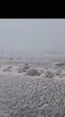 Video: camioneros paraguayos varados en chile por la helada