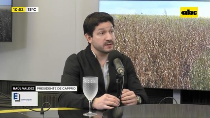 Producción de soja en Paraguay: ¿por qué el industrial elige exportarla en estado natural?