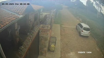 Hurto en Capiatá: se llevaron hasta a los perritos