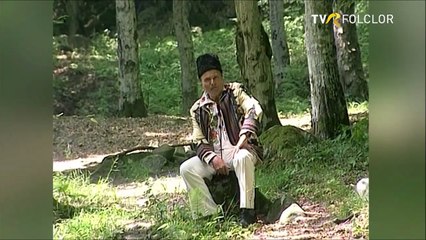 Cu cantecul prin tara - Dor de Banat - Arhiva TVR