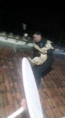 Un perro quedó atrapado en el techo de una casa y agentes policiales lo rescataron