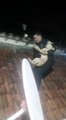 Un perro quedó atrapado en el techo de una casa y agentes policiales lo rescataron