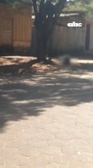 Violento ataque a tiros deja dos muertos en Capitán Bado