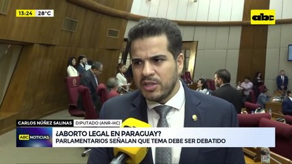 Muerte de “niña madre” reaviva debate sobre el aborto: ¿qué se dice en la Cámara de Diputados?