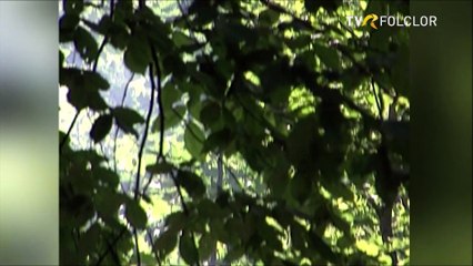 Iosif Ciocloda - Frunza batuta de vant - fragment (arhiva TVR)