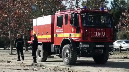 Despliegue coordinado contra la peste porcina africana en Collserola (Barcelona)