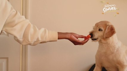 tn7-publireportaje-dos-pinos-031225