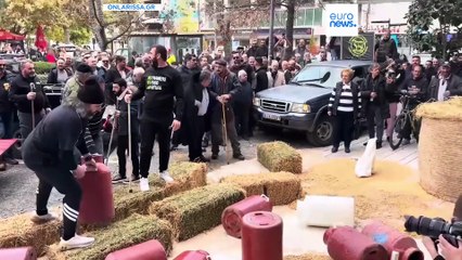 Grecia, messaggio di Mitsotakis agli agricoltori: aperti a dialogo ma azioni estreme non aiutano